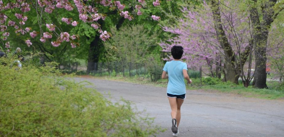 Jogging the Bridle Path