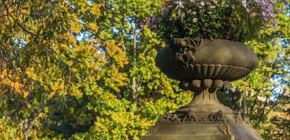 Planter at Bethesda Terrace