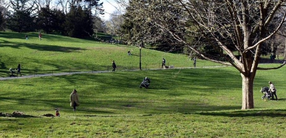 Social distancing in Central Park