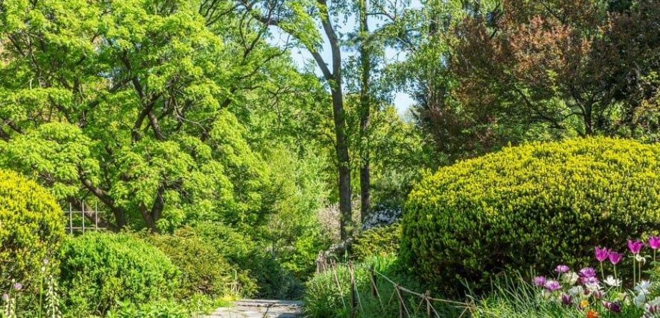 A lush path through Shakespeare Garden
