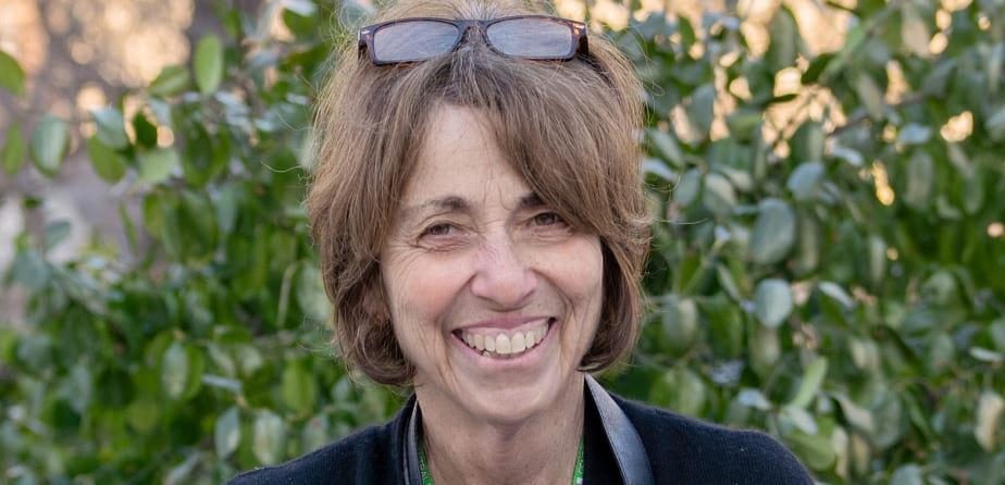 Q&A with Sara Cedar Miller, Central Park Conservancy Historian Emerita