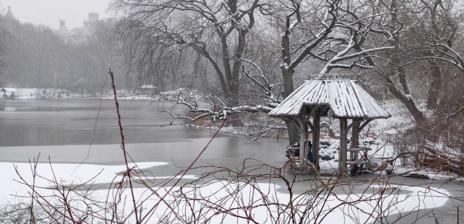 Wagner Cover in Winter