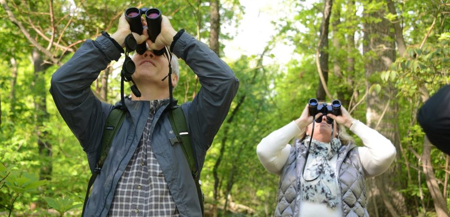 Birdwatchers with binoculars