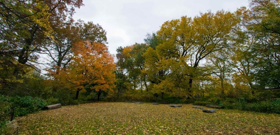 North End Landscape