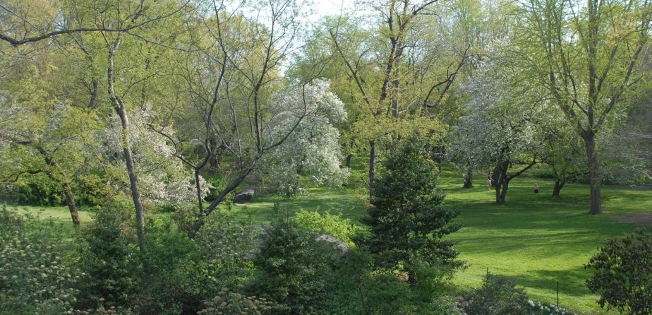 Seneca Village Site