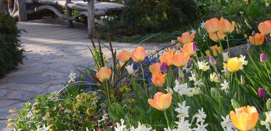 Shakespeare Garden