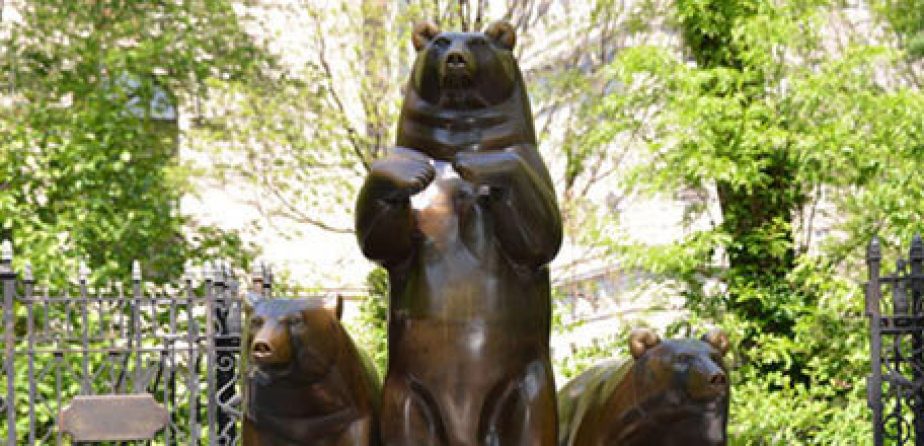 Group of Bears