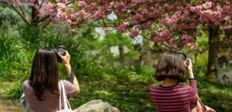 Two photographers capturing snapshots
