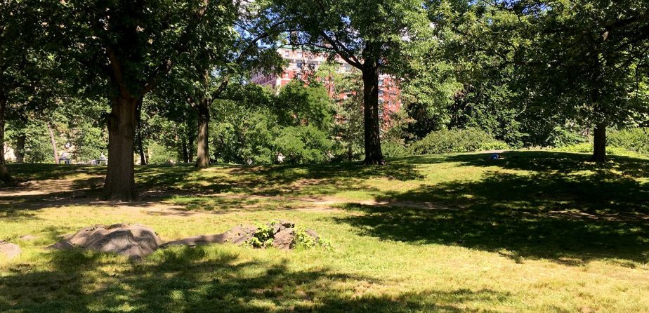 The site of Seneca Village