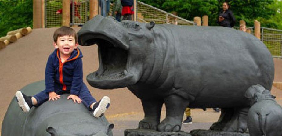 Safari Playground
