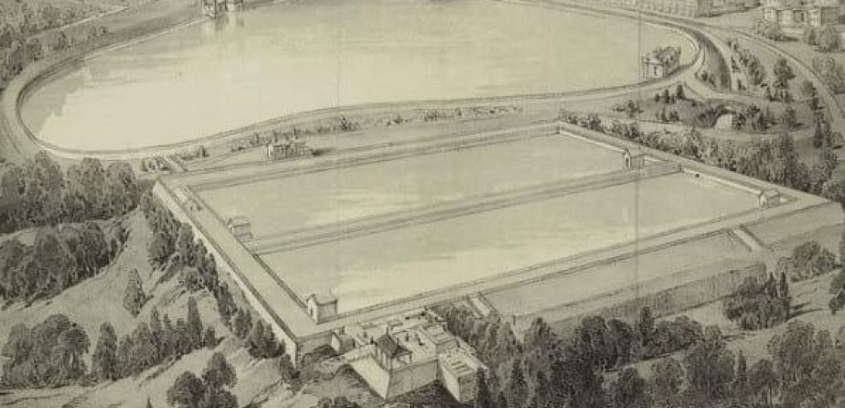 How Public Health Influenced the Creation, Purpose, and Design of Central Park