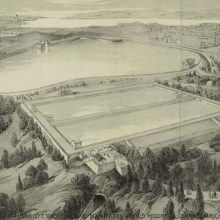 How Public Health Influenced The Creation, Purpose, And Design Of Central Park