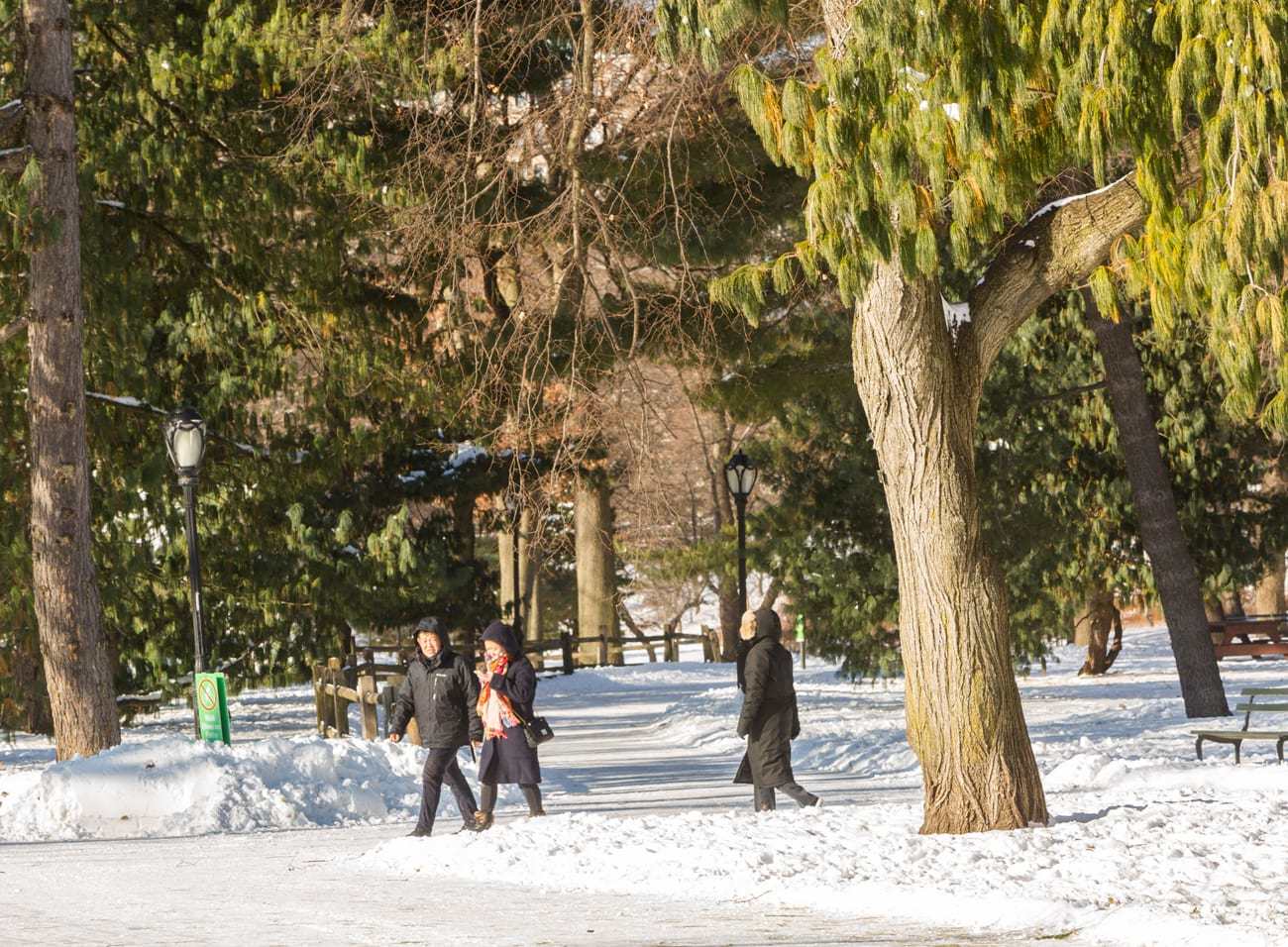 How to Spend the Holiday Season in Central Park