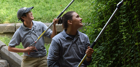 Meet the Summer Interns of the Conservancy