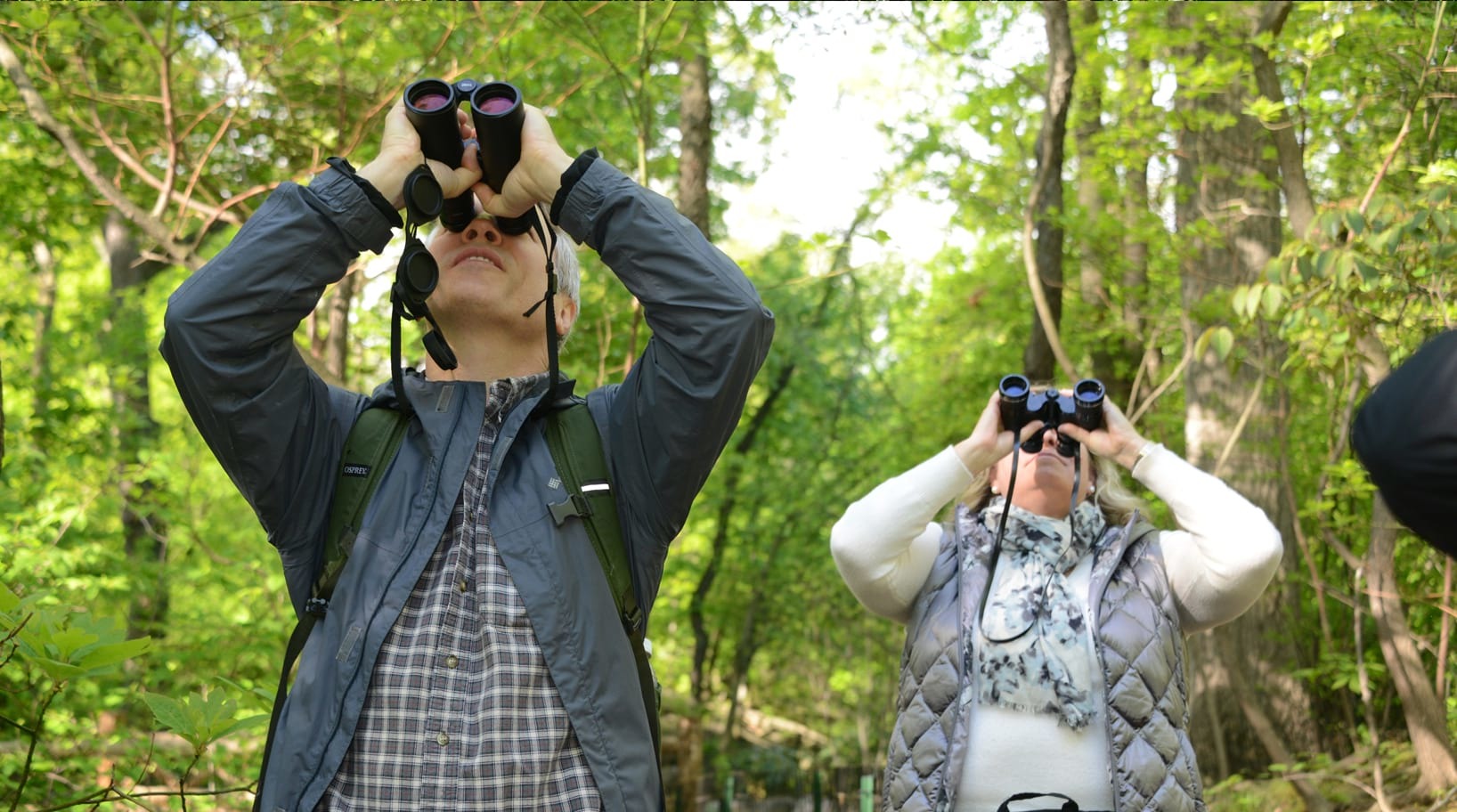 Birdwatchers