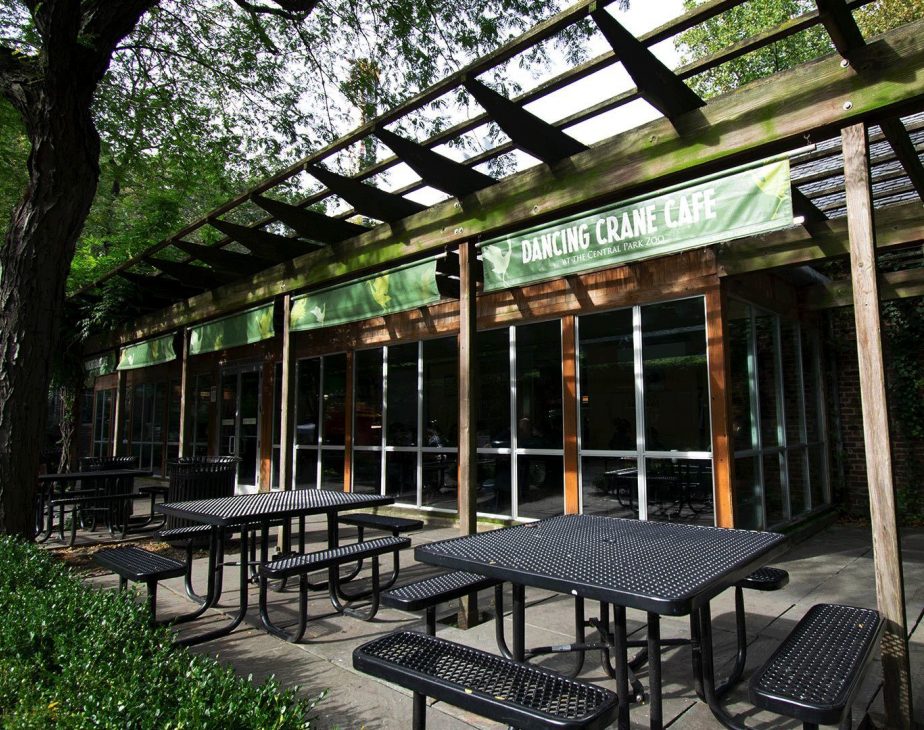 Dancing Crane Cafe