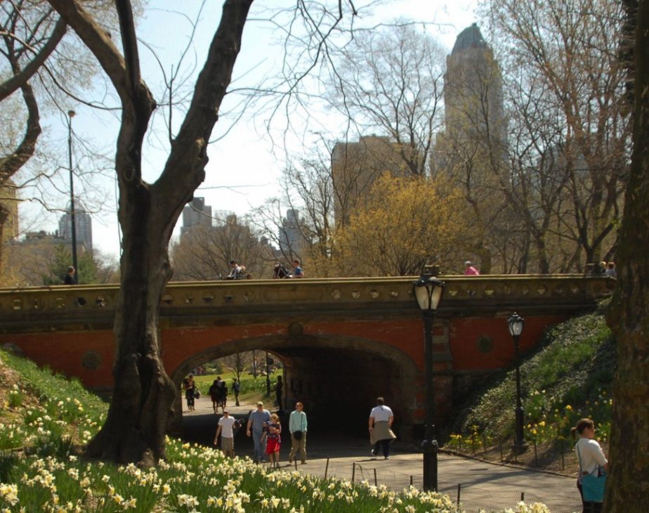 Driprock Arch