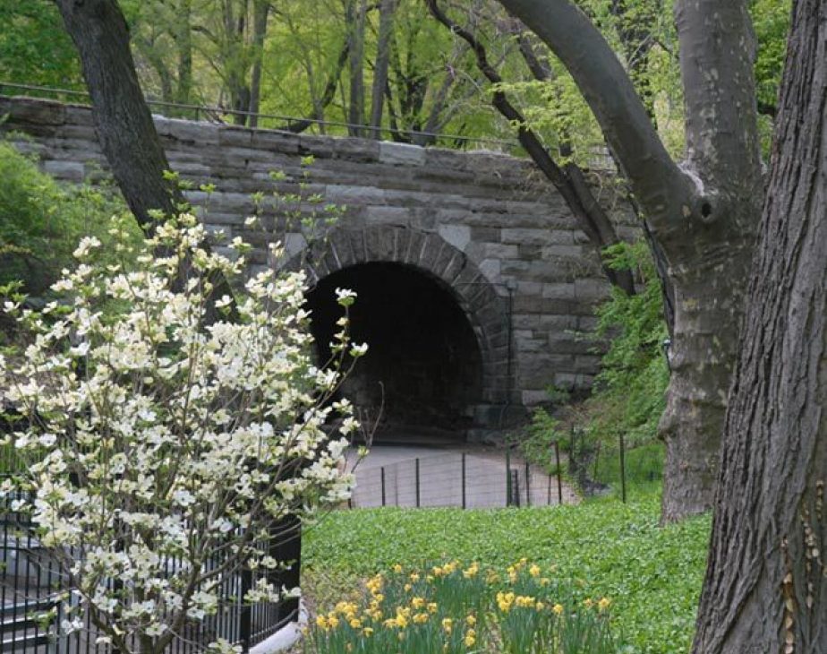 110th Street Bridge