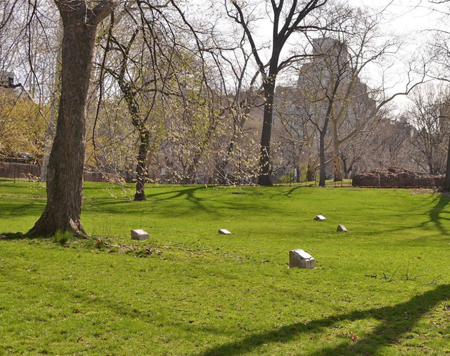 7Th Regiment Memorial Grove