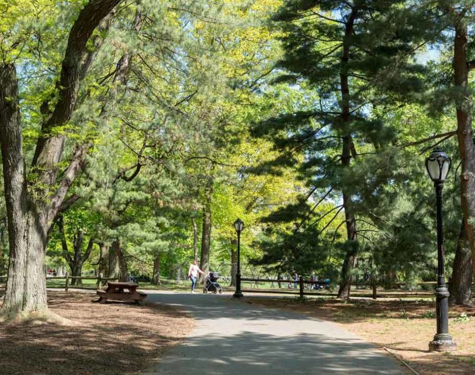 Arthur Ross Pinetum