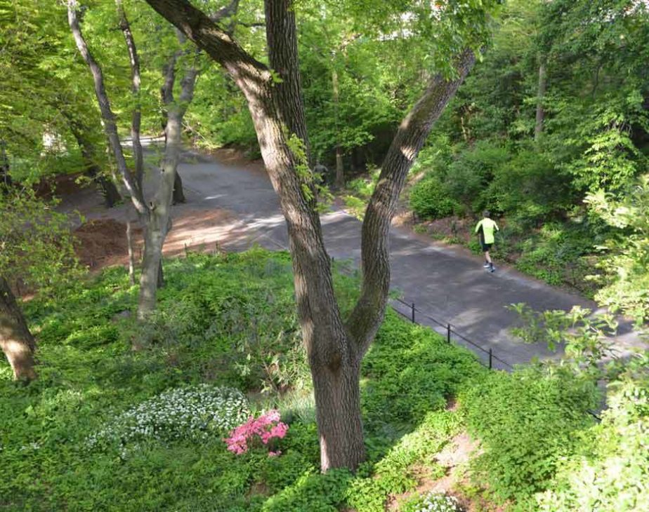 Azalea Walk