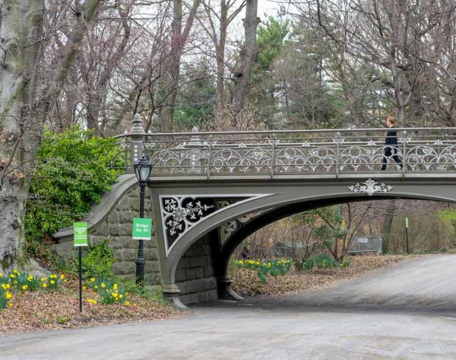 Bridge 24