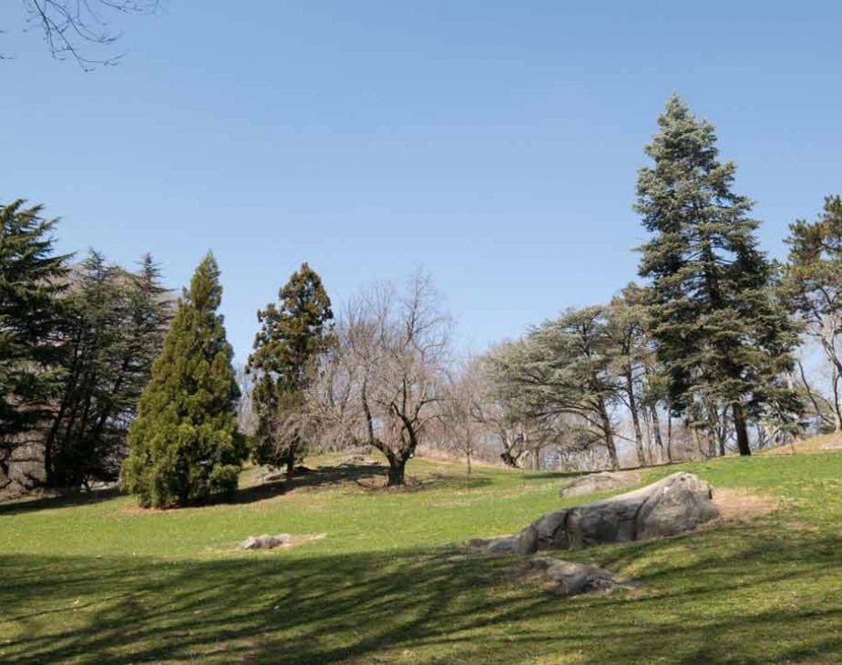 Cedar Hill
