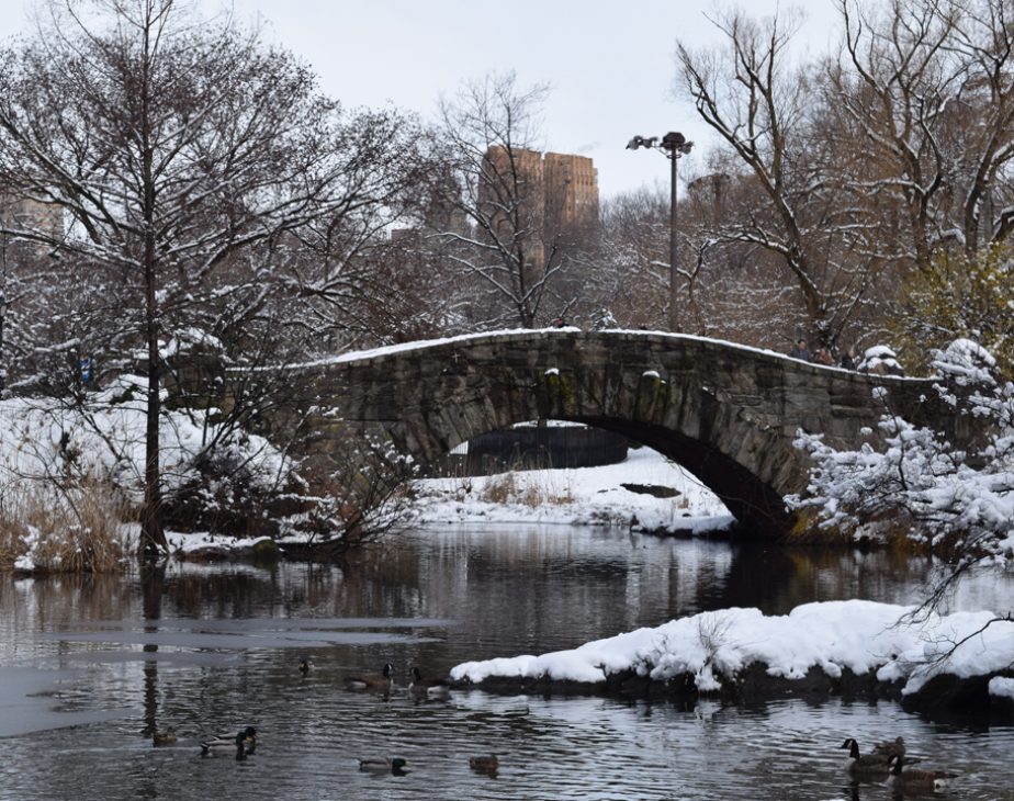 Gapstow Bridge