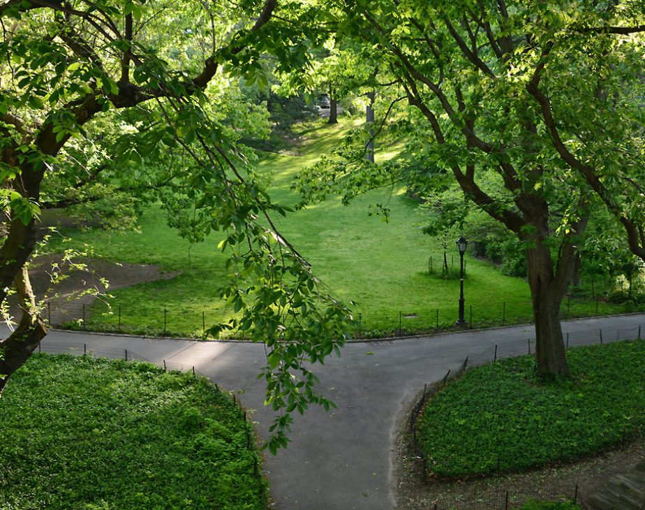 Naturalists Walk