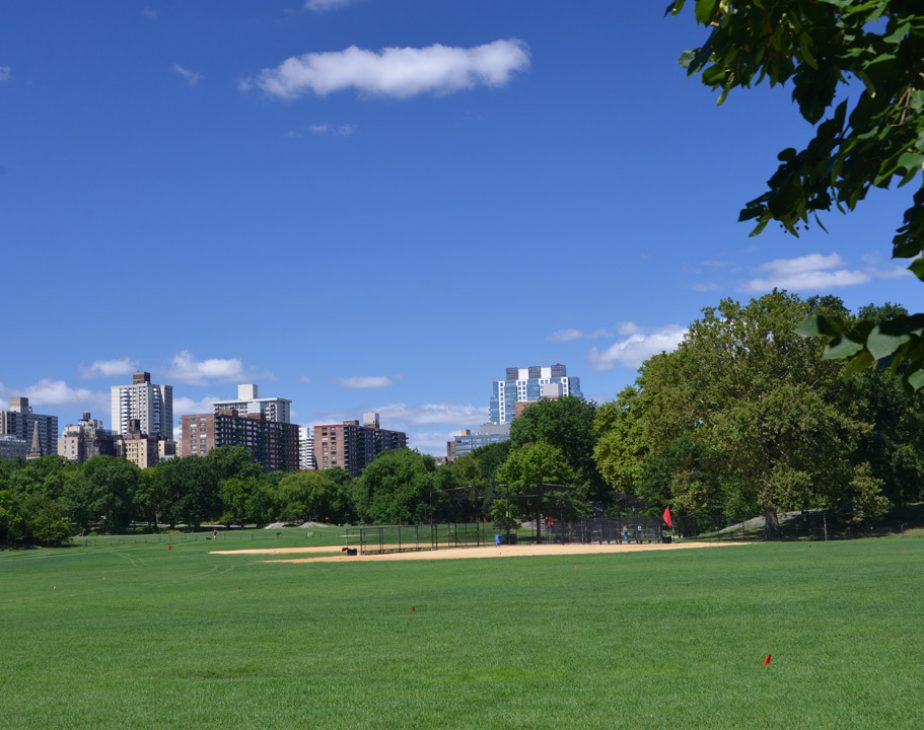 North Meadow