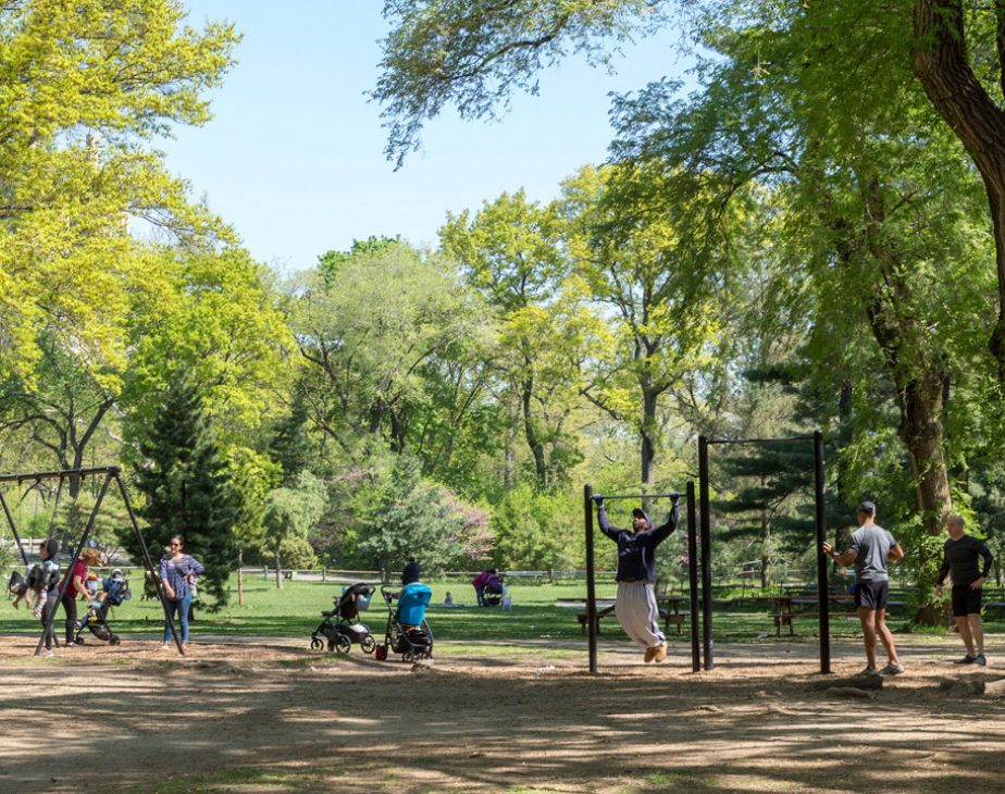 Pinetum Playground