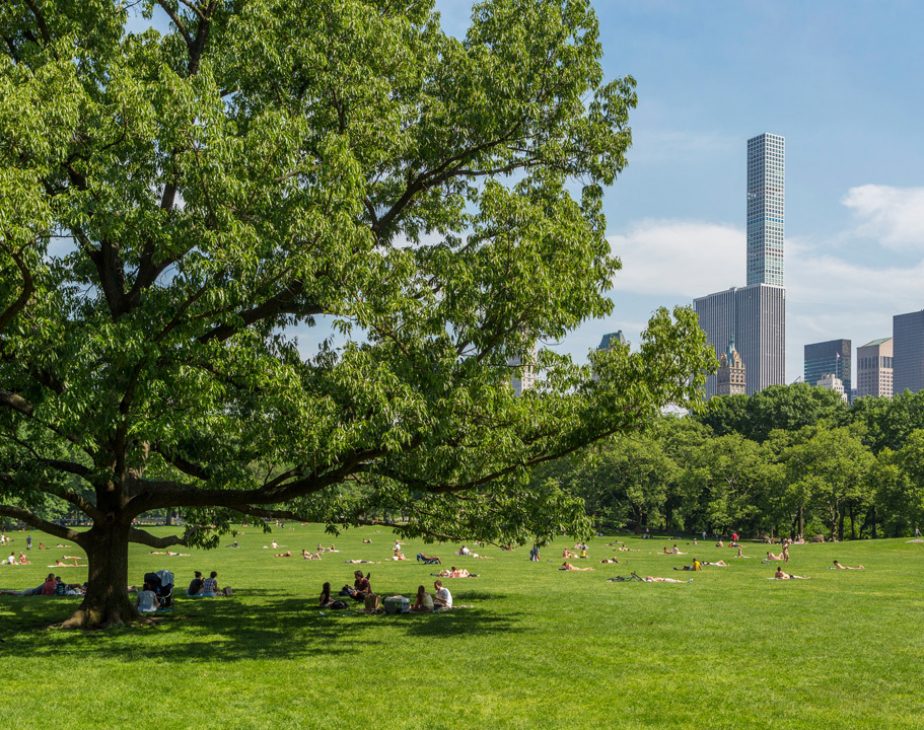 Sheep Meadow - Central Park Conservancy