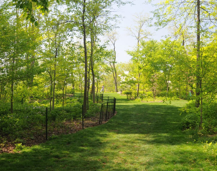 Great Hill