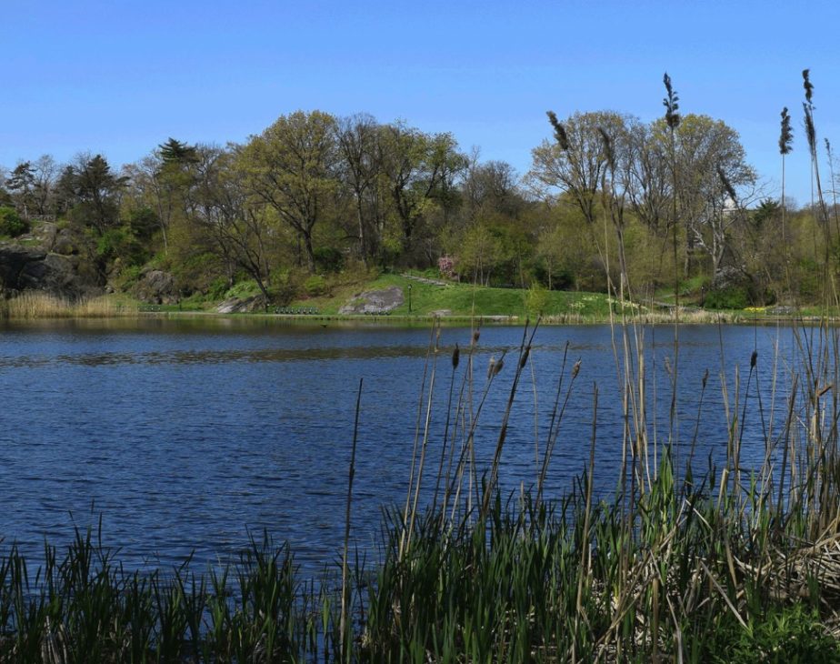 Harlem Meer