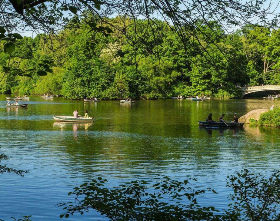 Lake