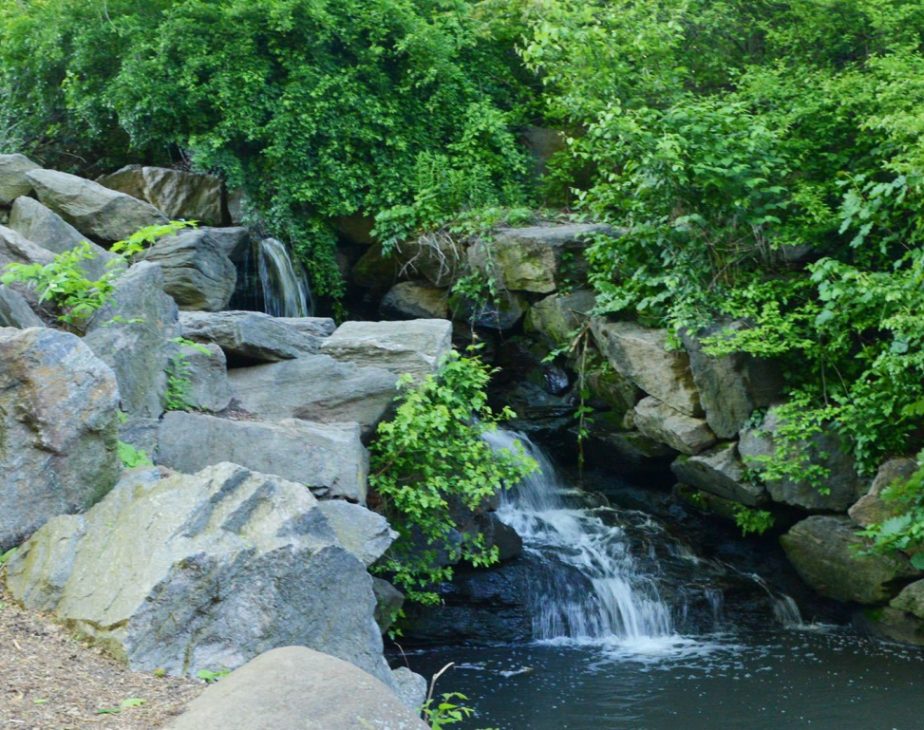 North Woods