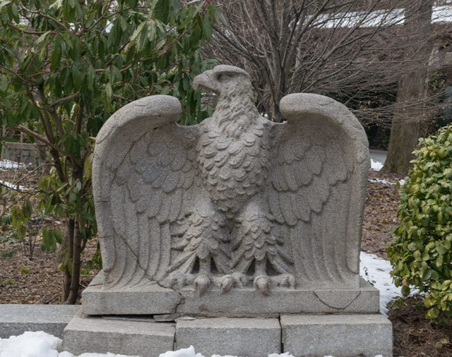Eagles