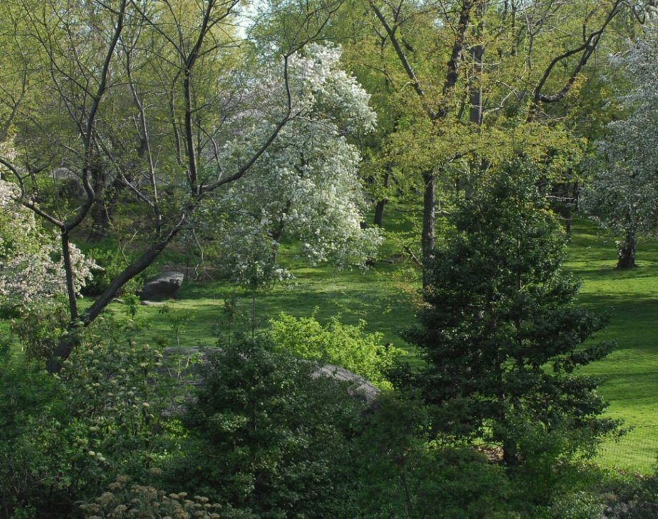 Seneca Village