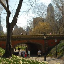 Driprock Arch