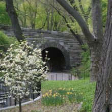110th Street Bridge
