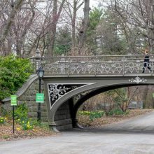Bridge 24