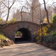 Inscope Arch