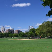 North Meadow