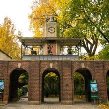 Delacorte Clock