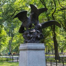 Eagles And Prey