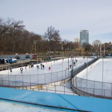Skating on the Lasker Rink