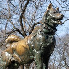 Balto