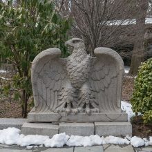 Eagles