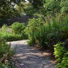 Shakespeare Garden