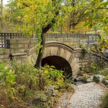 Springbanks Arch
